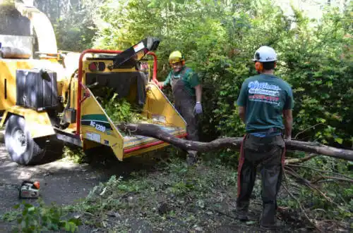 tree services Butte Valley